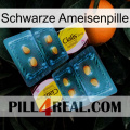 Black Ant Pill cialis5